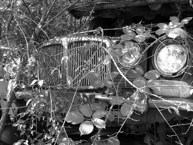 Autofriedhof - 151.JPG - Historischer Autofriedhof,    Gürbetal (CH)